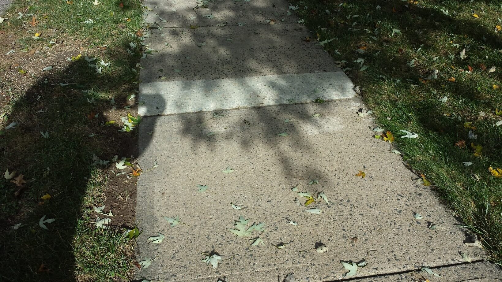 Uneven Sidewalk?   Here is How to Fix it, Concrete Chiropractor