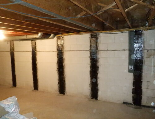 Before Searching Basement Waterproofing Near Me, be sure to Check These First, Concrete Chiropractor